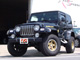 JEEP Wrangler �S�[���f���C�[�O�� (2006)